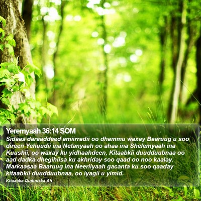 Yeremyaah 36:14 SOM Bible Verse Image