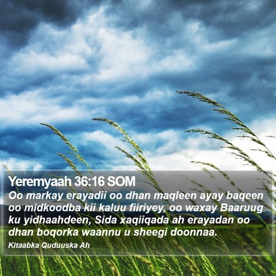 Yeremyaah 36:16 SOM Bible Verse Image