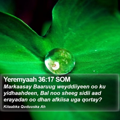 Yeremyaah 36:17 SOM Bible Verse Image
