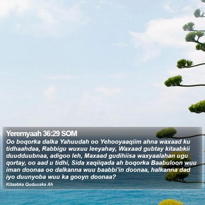 Yeremyaah 36:29 SOM Bible Verse Image