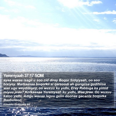 Yeremyaah 37:17 SOM Bible Verse Image
