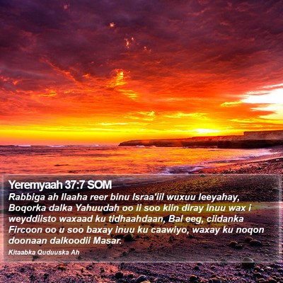 Yeremyaah 37:7 SOM Bible Verse Image