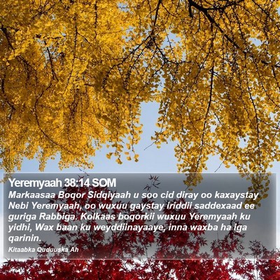 Yeremyaah 38:14 SOM Bible Verse Image