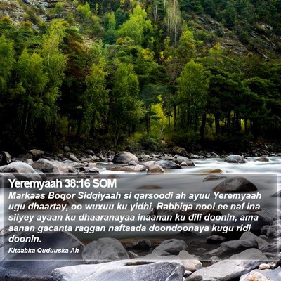 Yeremyaah 38:16 SOM Bible Verse Image