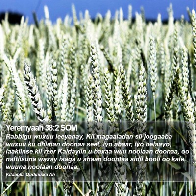Yeremyaah 38:2 SOM Bible Verse Image
