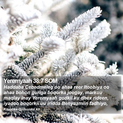Yeremyaah 38:7 SOM Bible Verse Image
