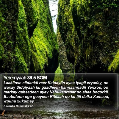 Yeremyaah 39:5 SOM Bible Verse Image