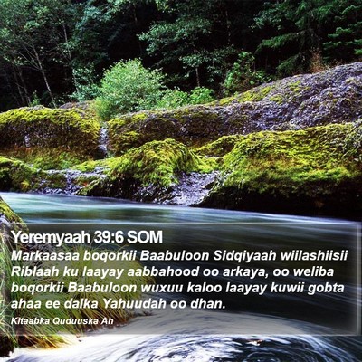 Yeremyaah 39:6 SOM Bible Verse Image