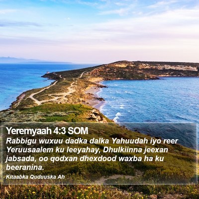 Yeremyaah 4:3 SOM Bible Verse Image