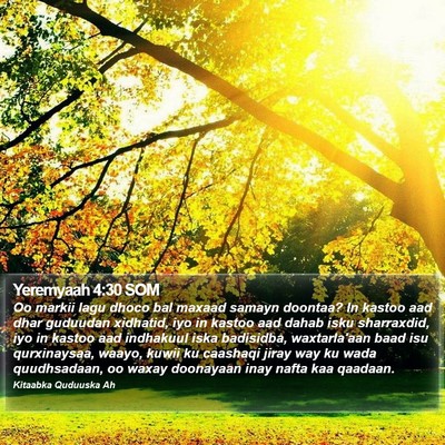 Yeremyaah 4:30 SOM Bible Verse Image