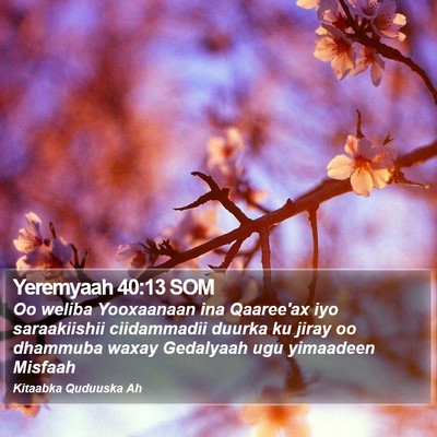 Yeremyaah 40:13 SOM Bible Verse Image