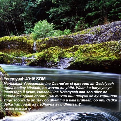Yeremyaah 40:15 SOM Bible Verse Image