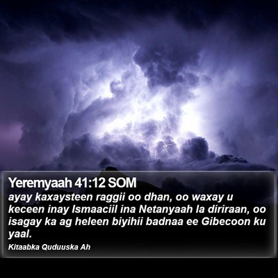 Yeremyaah 41:12 SOM Bible Verse Image