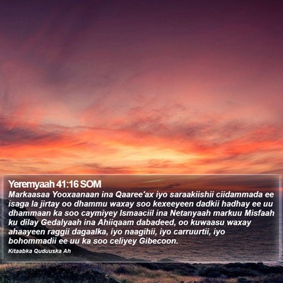 Yeremyaah 41:16 SOM Bible Verse Image