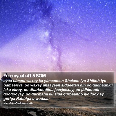 Yeremyaah 41:5 SOM Bible Verse Image