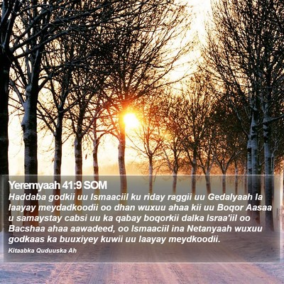 Yeremyaah 41:9 SOM Bible Verse Image