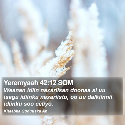 Yeremyaah 42:12 SOM Bible Verse Image
