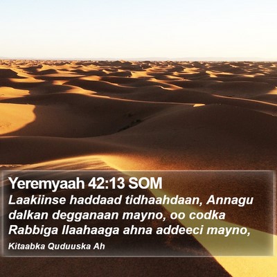 Yeremyaah 42:13 SOM Bible Verse Image