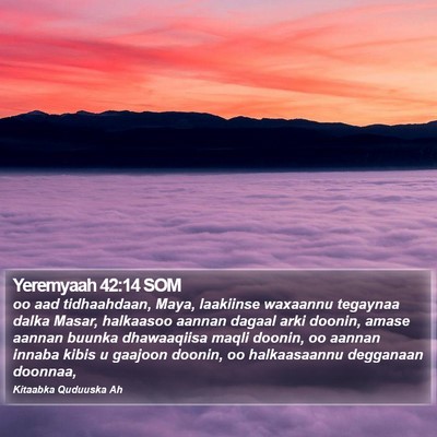 Yeremyaah 42:14 SOM Bible Verse Image