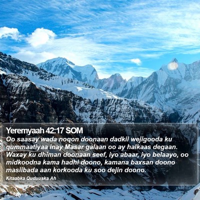 Yeremyaah 42:17 SOM Bible Verse Image