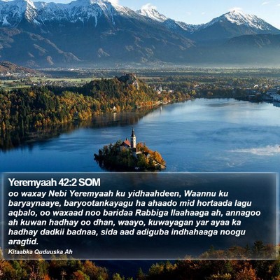 Yeremyaah 42:2 SOM Bible Verse Image