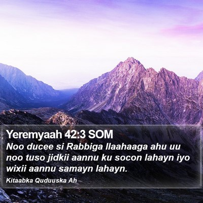 Yeremyaah 42:3 SOM Bible Verse Image