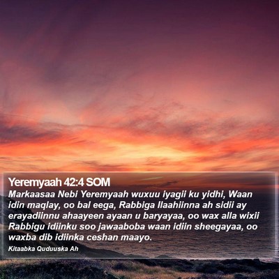 Yeremyaah 42:4 SOM Bible Verse Image