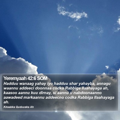 Yeremyaah 42:6 SOM Bible Verse Image