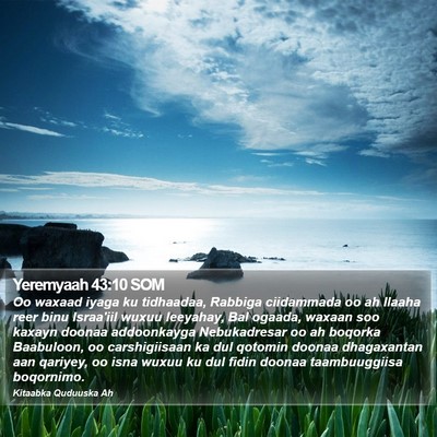 Yeremyaah 43:10 SOM Bible Verse Image
