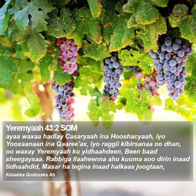Yeremyaah 43:2 SOM Bible Verse Image