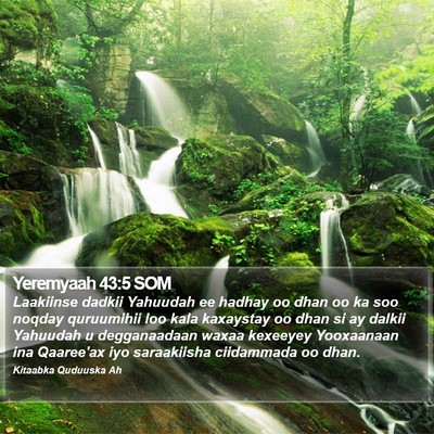 Yeremyaah 43:5 SOM Bible Verse Image
