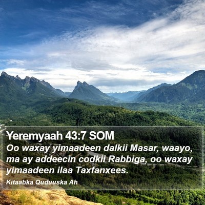 Yeremyaah 43:7 SOM Bible Verse Image