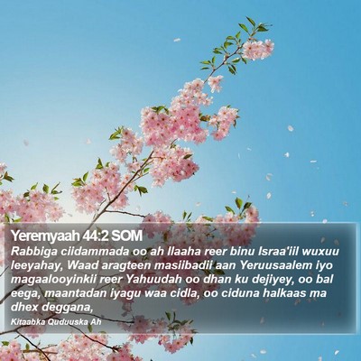 Yeremyaah 44:2 SOM Bible Verse Image