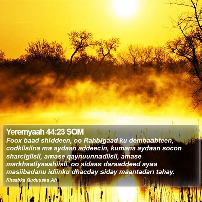 Yeremyaah 44:23 SOM Bible Verse Image