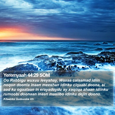 Yeremyaah 44:29 SOM Bible Verse Image