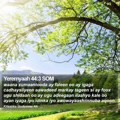 Yeremyaah 44:3 SOM Bible Verse Image