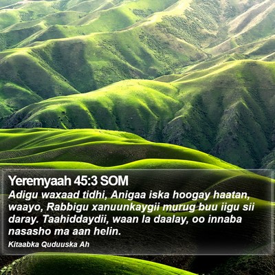 Yeremyaah 45:3 SOM Bible Verse Image
