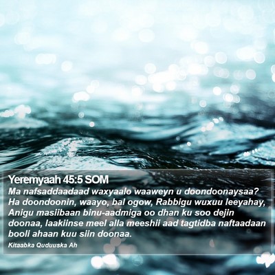 Yeremyaah 45:5 SOM Bible Verse Image