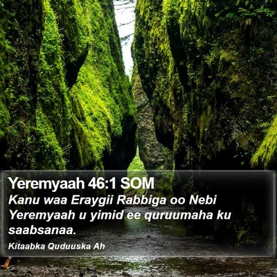 Yeremyaah 46:1 SOM Bible Verse Image