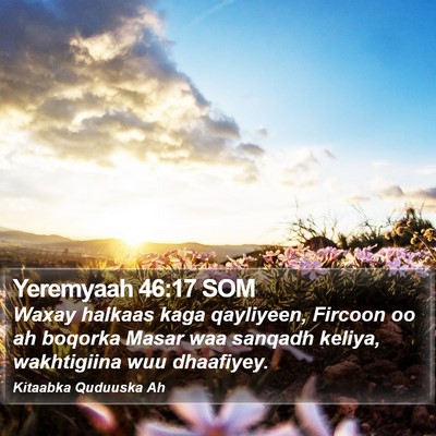 Yeremyaah 46:17 SOM Bible Verse Image