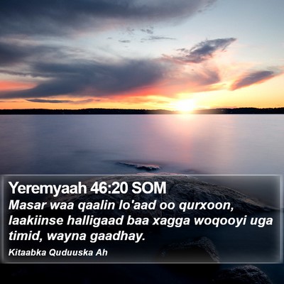 Yeremyaah 46:20 SOM Bible Verse Image