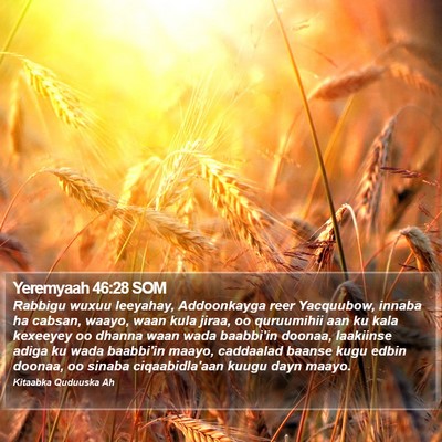 Yeremyaah 46:28 SOM Bible Verse Image