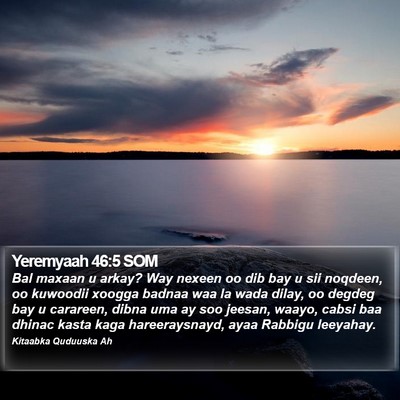Yeremyaah 46:5 SOM Bible Verse Image