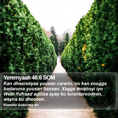 Yeremyaah 46:6 SOM Bible Verse Image