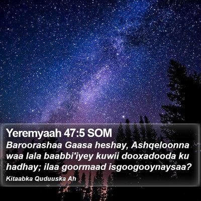 Yeremyaah 47:5 SOM Bible Verse Image