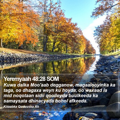 Yeremyaah 48:28 SOM Bible Verse Image