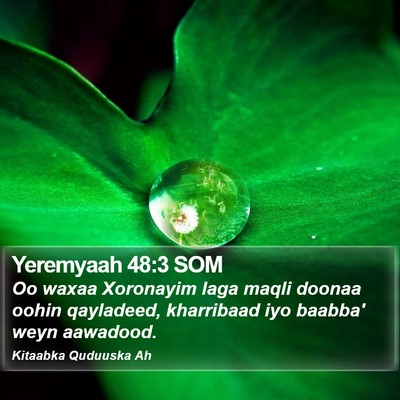 Yeremyaah 48:3 SOM Bible Verse Image
