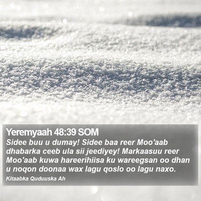 Yeremyaah 48:39 SOM Bible Verse Image