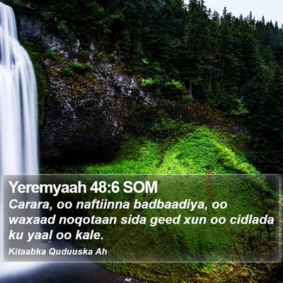 Yeremyaah 48:6 SOM Bible Verse Image