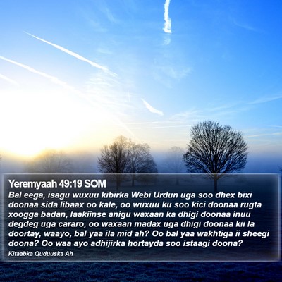 Yeremyaah 49:19 SOM Bible Verse Image